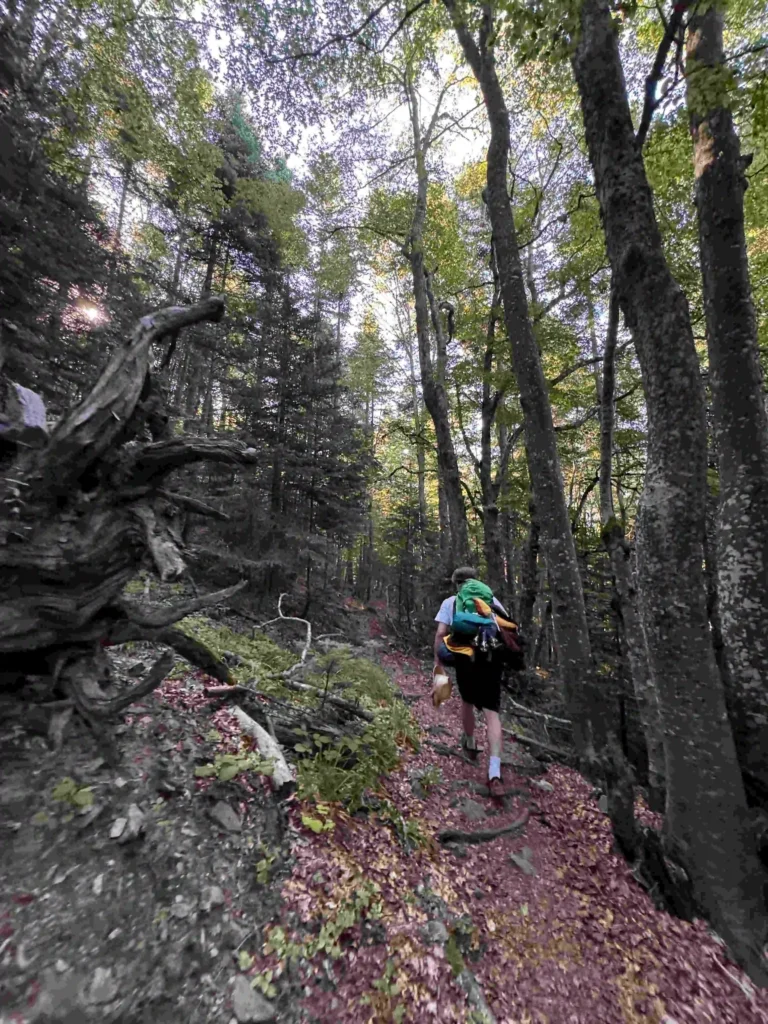 Nature therapy in action, how spending time outdoors improves mental health