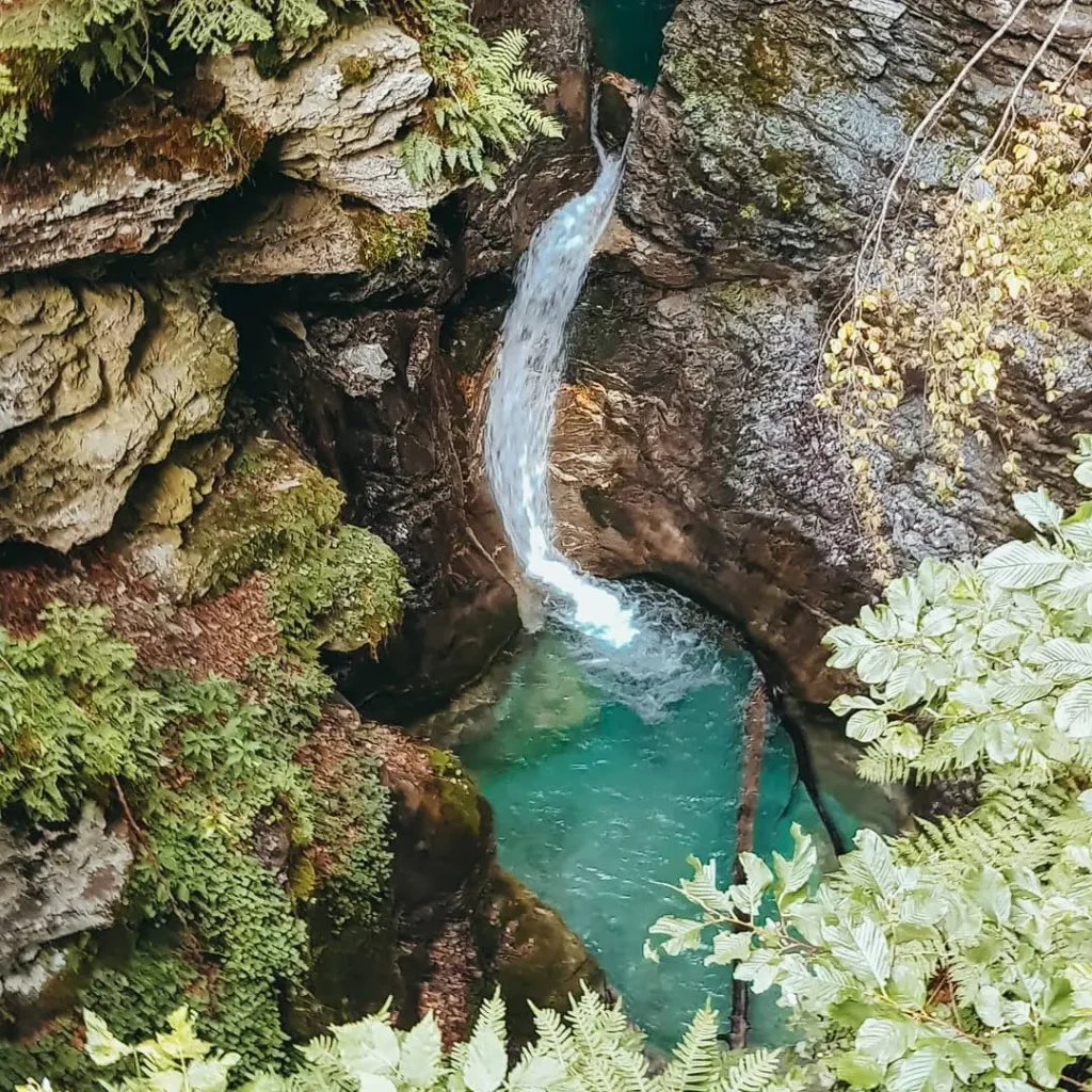 Lesnica - Shar mountains