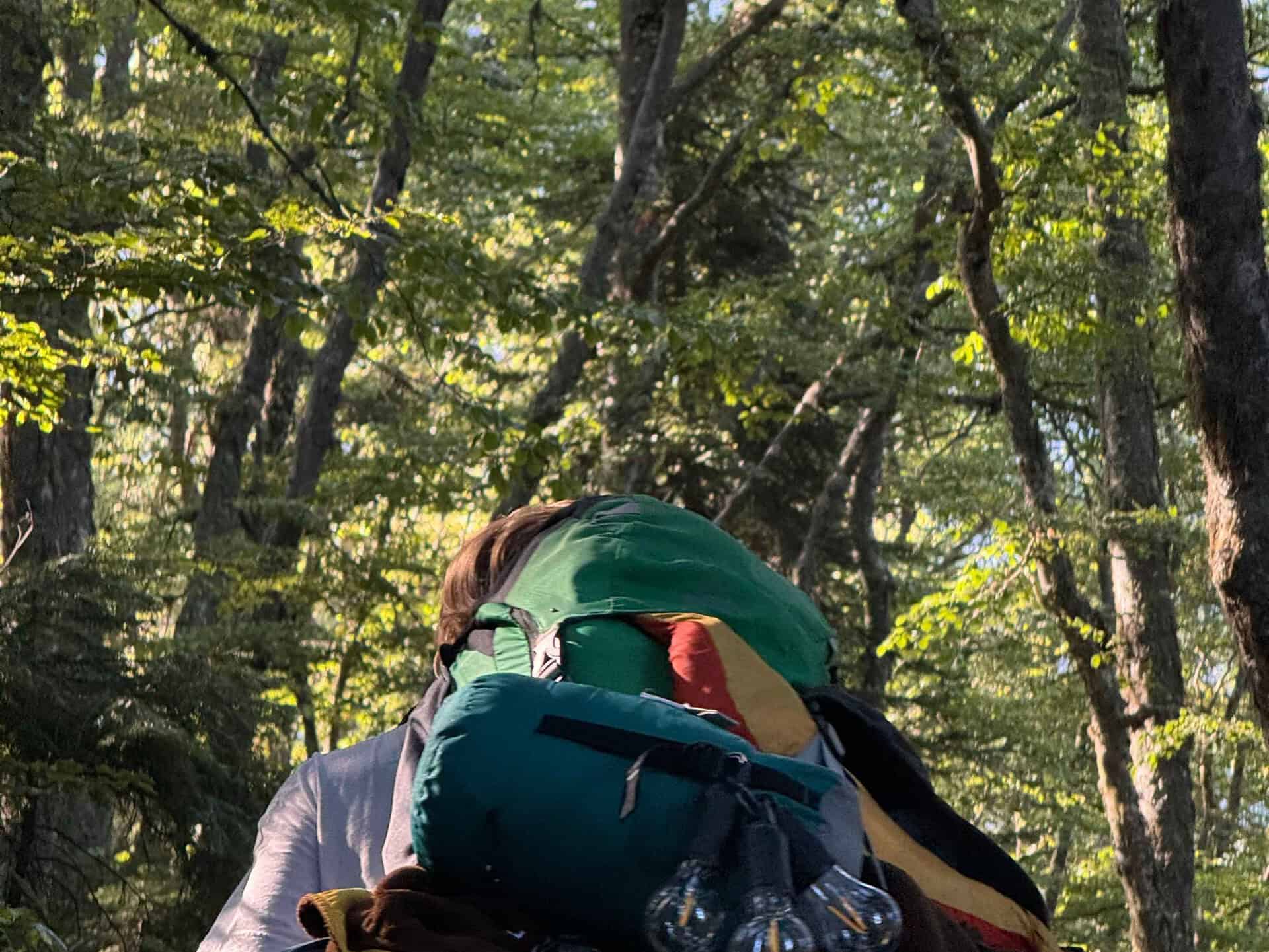 The only backpacks you need