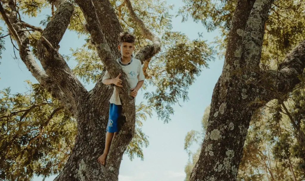 climbing trees