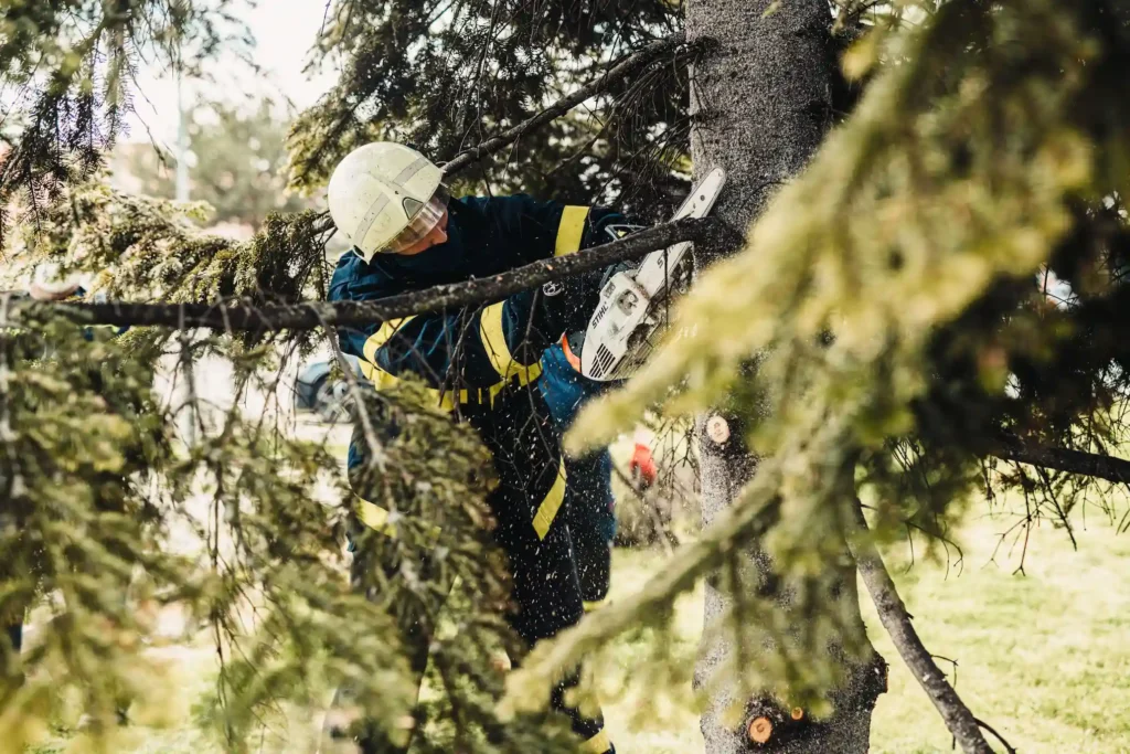 arborist extreme outdoor jobs