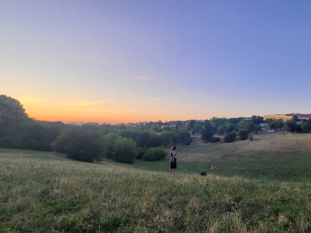 Sunset walk