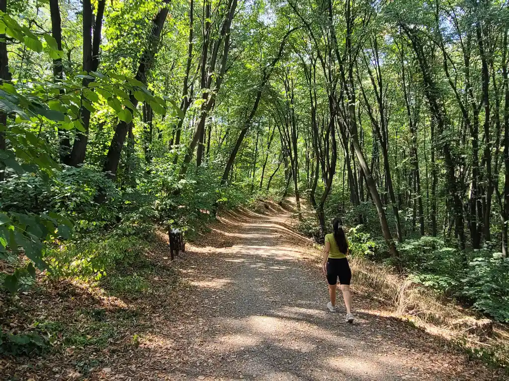 I Go for a Walk Every Day. It’s Not a Routine.