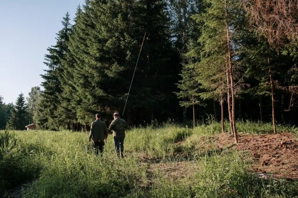 Forest Ranger