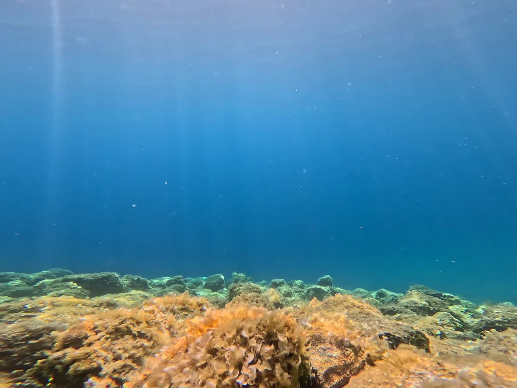Goli Otok Free Diving