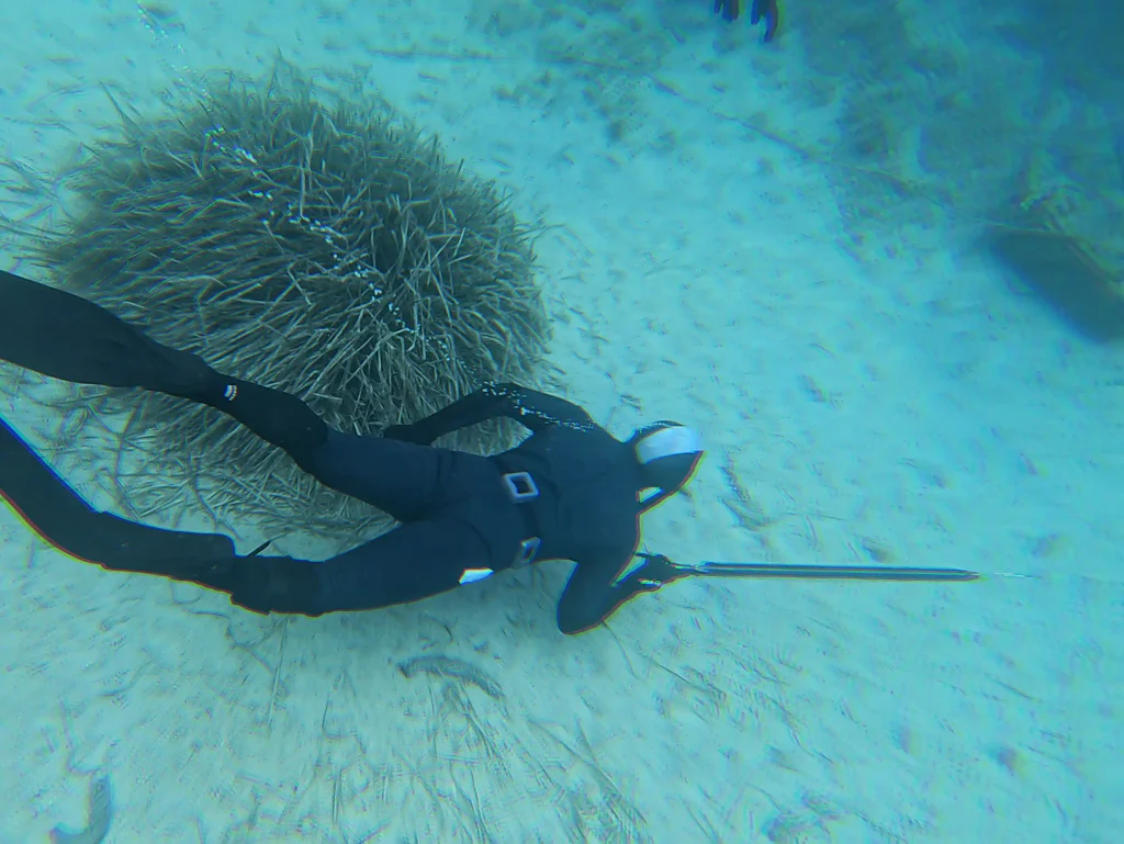 spearfishing in croatia